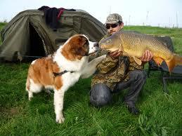 Diverse - images.jpeg